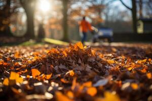 barriendo arriba caído hojas y césped en el otoño jardín ai generado foto