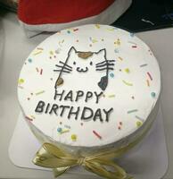 White birthday cake, round shape, with a cartoon cat drawing and sprinkle colorful sugar grains. photo