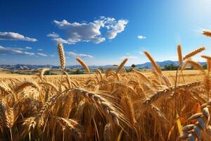 An idyllic farming concept unfolds in a golden cereal field, abundant with wheat AI Generated photo