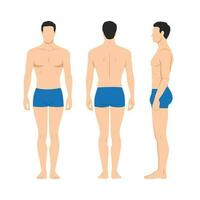 Vector illustration of three men in underwear on the white background. Flat young man. Front view man, Side view man, Back side view man