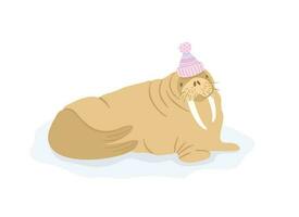 Walrus in pompon hat. Vector cute isolated illustration