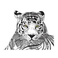 Wild Animals Hand Drawn Art Vector Illustration