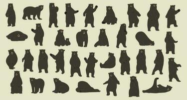 American black bear collection vector