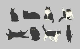 negro gato vector y ilustración