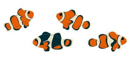 Anemonefish group cute vector illustration