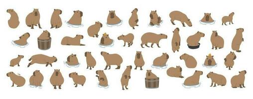 Capybara collection cute vector