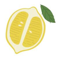 Lemon Single cute vector