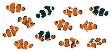 Anemonefish Collection cute vector