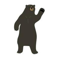 American Black Bear Single vector