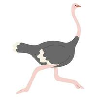 Ostrich Single cute vector