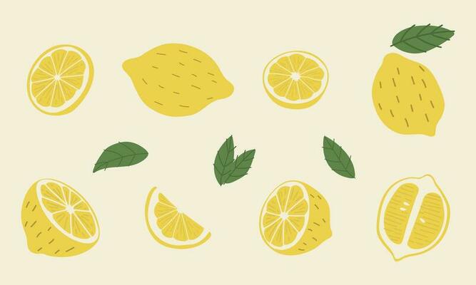 Lemon group cute