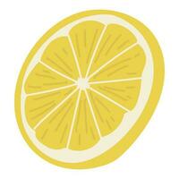 Lemon Single white backgroung vector