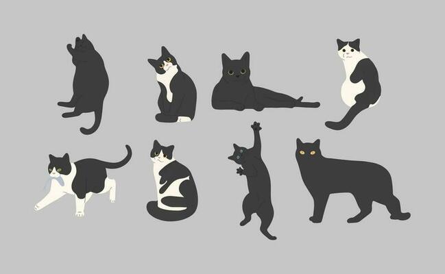 Cat Poses Vector Art, Icons, and Graphics for Free Download