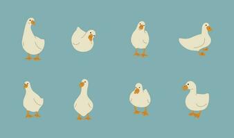 Duck white Group vector