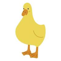 Duck Yellow Single vector