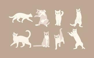 blanco gato grupo vector