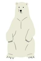 Polar Bear Single vector