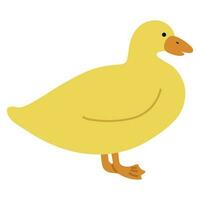 Duck Yellow Single vector