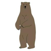 Grizzly Bear Single vector