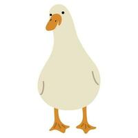 Duck White Single vector