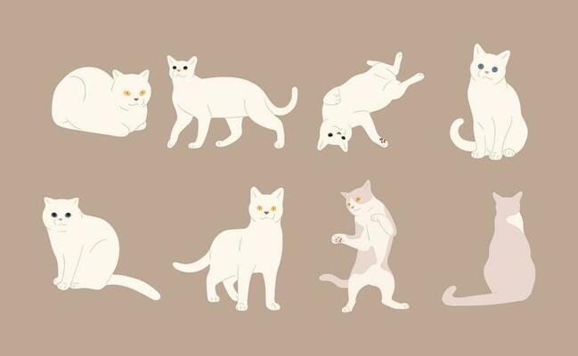 Cat Poses Vector Art, Icons, and Graphics for Free Download