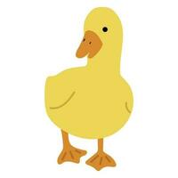 Duck Yellow Single vector