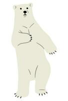 Polar Bear Single vector