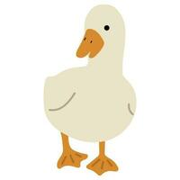 Duck White Single vector