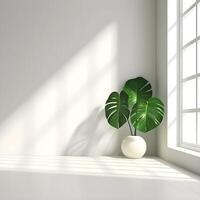 a monstera leaf in the corner of a white room with a window shade photo