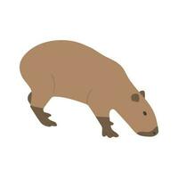 Capybara single cute vector