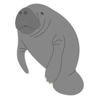 Manatee Single cute vector