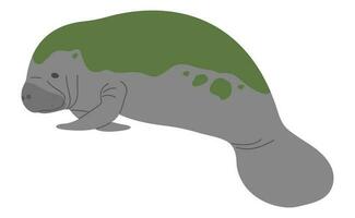 Manatee Single cute vector