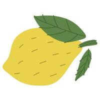 Illustration Lemon Single vector