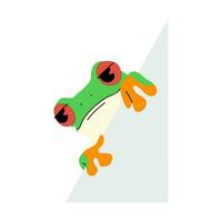 Red-eyed tree frog single and paper cute vector
