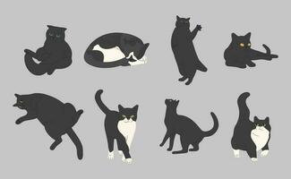 negro gato linda vector