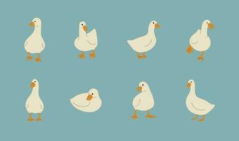 Duck white Group vector