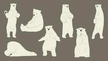 Polar bear Group vector