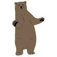 Grizzly Bear Single vector