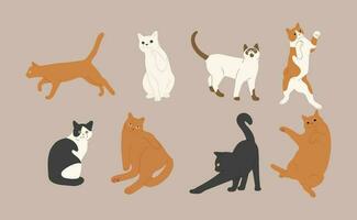 vector ilustración gato grupo