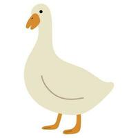 Duck White Single vector