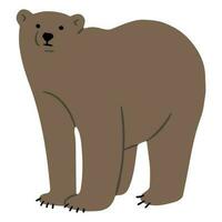 Grizzly Bear Single vector