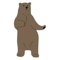 Grizzly Bear Single vector