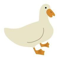 Duck White Single vector