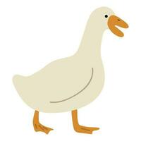 Duck White Single vector