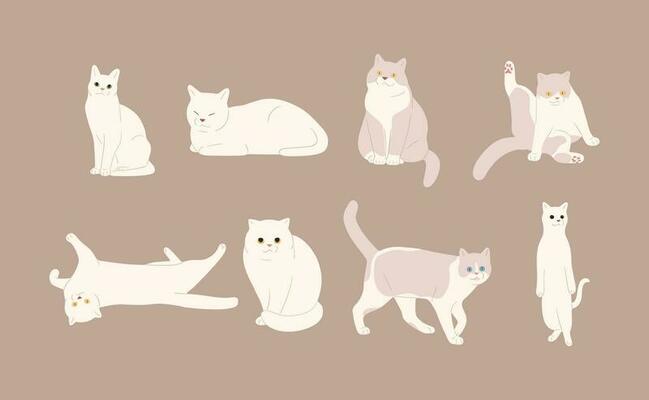 Cat Poses Vector Art, Icons, and Graphics for Free Download