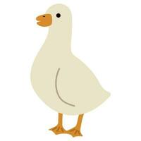 Duck White Single vector