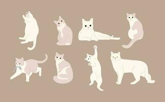 white cat Group vector