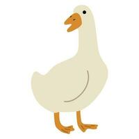 Duck White Single vector