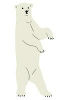 Polar Bear Single vector