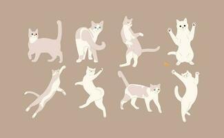 white cat Group vector